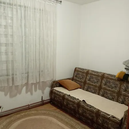 Dzenana Σαράγεβο